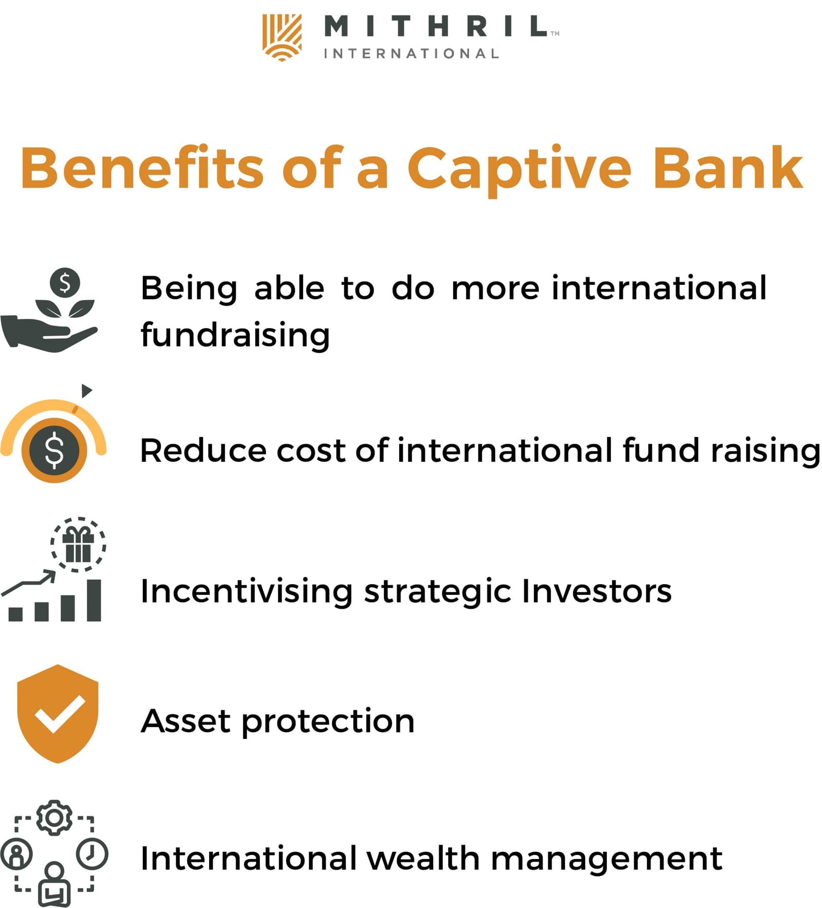 Diagram on the benefits of a Captive Bank for owner-managers raising international capital.