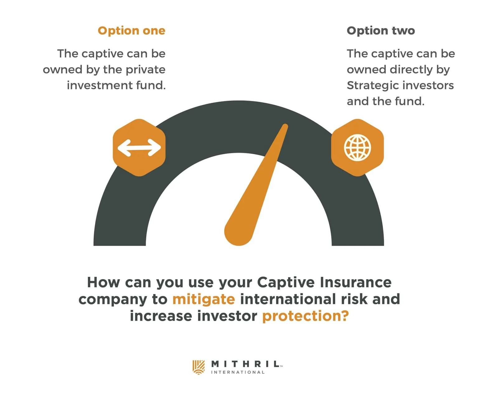 Diagram: two ways to use a captive insurance company to reduce international risk and increase investor protection. Option one, the private investment fund owns the captive. Option two, strategic investors and the fund own the captive directly.